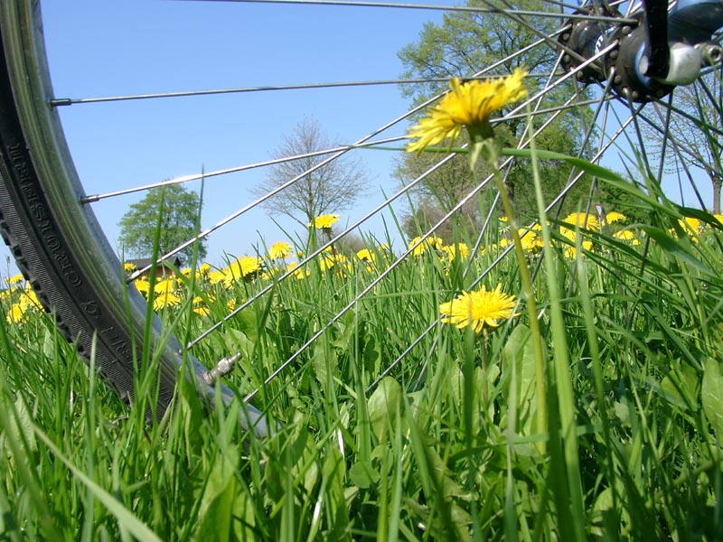 Radtouren Radreisen in Mecklenburg - radeln mit radreisen-mecklenburg